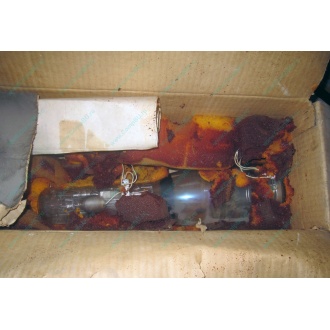 13ЛН8 (Красково)