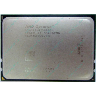 AMD Opteron 6128 OS6128WKT8EGO (Красково)