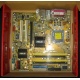 Материнская плата Asus P5L-VM 1394 s.775 (Красково)
